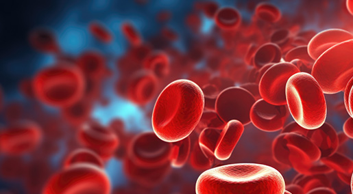 ROOT MOAT - Online 202600-MO